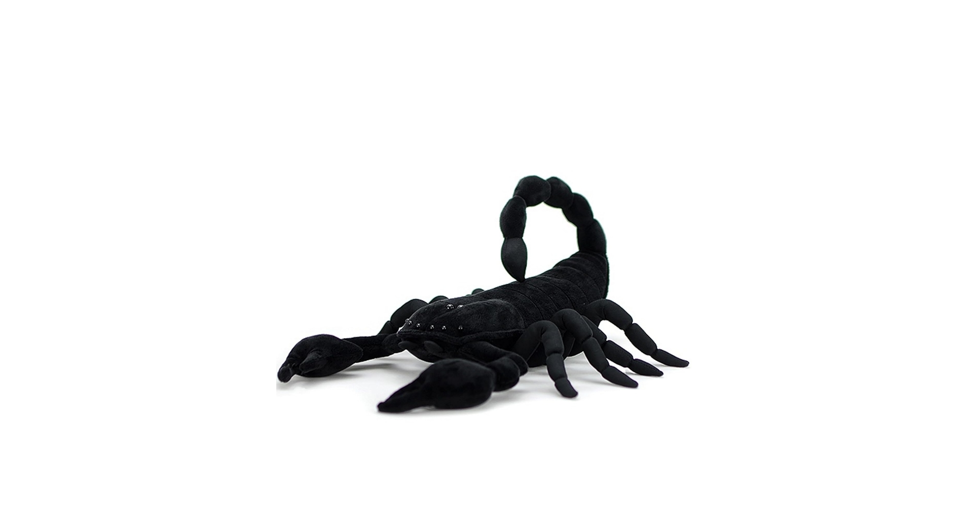 Amazon.co.jp: lilizzhoumax エンペラースコーピオン ぬいぐるみ